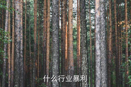 什么行業(yè)暴利，什么行業(yè)暴利