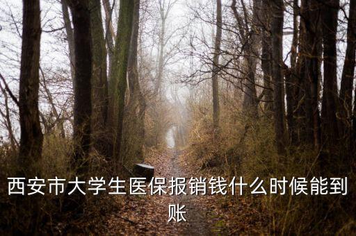 大學(xué)生醫(yī)保什么時候到賬，大學(xué)生武漢醫(yī)保報銷費什么時候到帳啊
