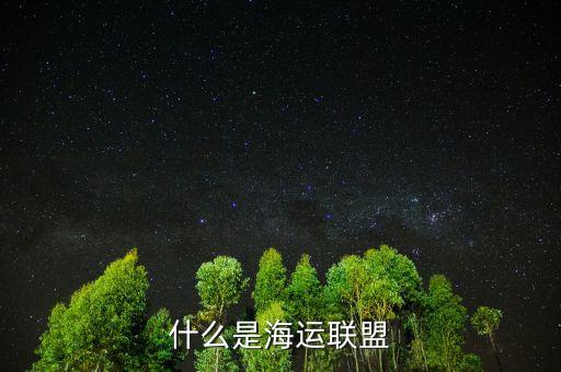 四大海運(yùn)聯(lián)盟有什么，什么是海運(yùn)聯(lián)盟