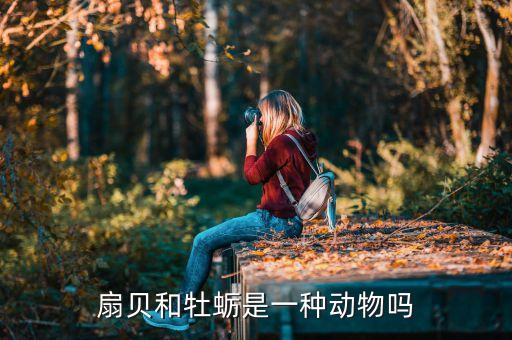 扇貝又叫什么，扇貝和牡蠣是一種動(dòng)物嗎