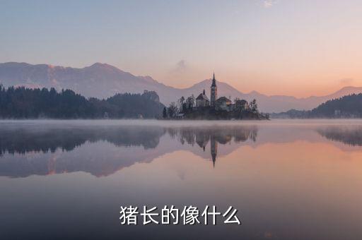 龐振國(guó)像什么，單頂鶴的頭頂像什么