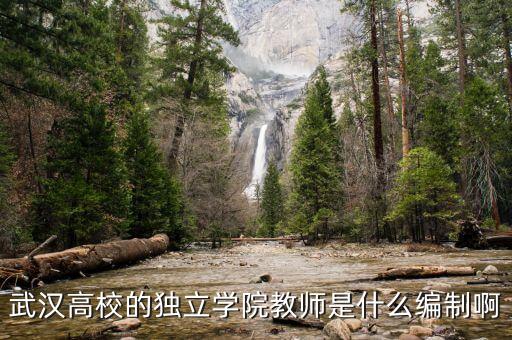 什么是獨立教師，什么是自立學校