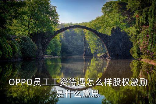 全員持股什么意思，OPPO員工工資待遇怎么樣股權(quán)激勵(lì)是什么意思