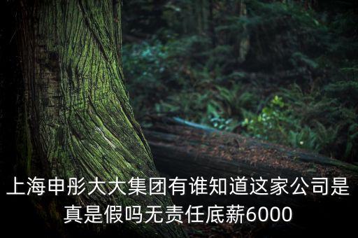 申彤大大集團賺的什么錢發(fā)工資，上海申彤大大集團有誰知道這家公司是真是假嗎無責(zé)任底薪6000