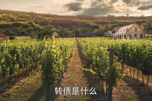 浙能轉(zhuǎn)債是什么，浙能電力轉(zhuǎn)債贖回兌付摘牌是利好還是利空