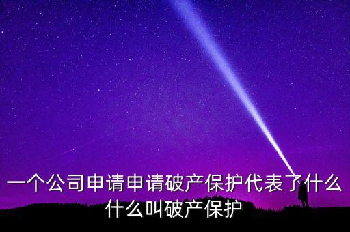 申請破產(chǎn)保護(hù)是什么意思，破產(chǎn)保護(hù)是什么意思