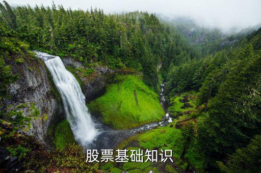 為什么要?dú)⑷谫Y盤，什么是垃圾股