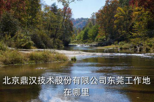 鼎漢技術(shù)主要做什么，北京鼎漢技術(shù)股份有限公司東莞工作地在哪里