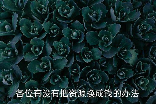 通過(guò)什么將資源轉(zhuǎn)化為財(cái)富，各位有沒(méi)有把資源換成錢(qián)的辦法