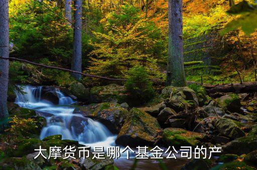 大摩貨幣是哪個基金公司的產