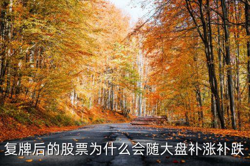 股票復牌為什么會補跌，復牌后的股票為什么會隨大盤補漲補跌