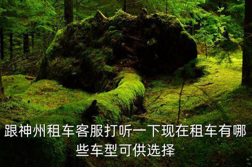 神州租車有什么車，神州租車有哪些車型