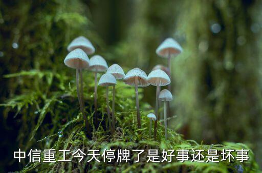 中信重工什么時(shí)候復(fù)牌，中信重工今天停牌了是好事還是壞事