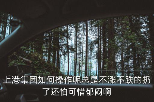 上港集團(tuán)什么級(jí)別，上港集團(tuán)振東集裝箱碼頭分公司的介紹