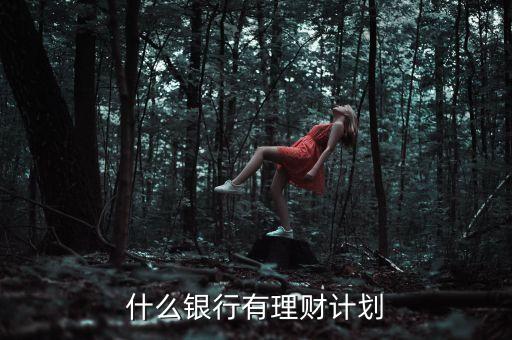 什么銀行進理財，什么銀行有理財計劃