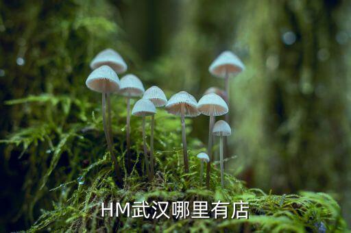 武漢禧h酒店什么時(shí)間開(kāi)業(yè)，武漢哪里有快開(kāi)張的酒店