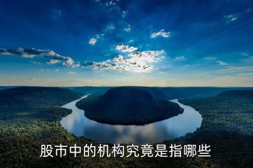股票中的機(jī)構(gòu)指什么，股市里的機(jī)構(gòu)指的是什么