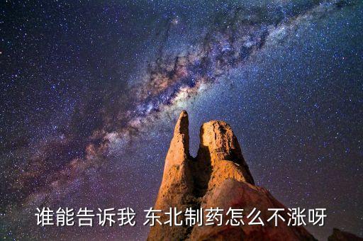 東北制藥為什么不漲，002251為什么不漲是不是公司出問題了