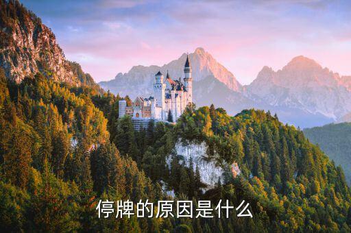 中國巨石為什么停牌，000009今天為何停牌