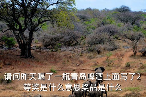 請(qǐng)問(wèn)昨天喝了一瓶青島啤酒上面寫了2等獎(jiǎng)是什么意思獎(jiǎng)品是什么