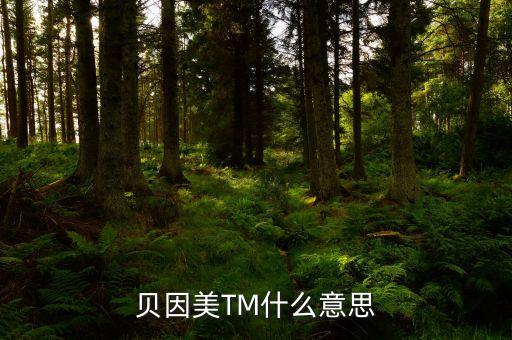 貝因美尾盤1多手什么意思，貝因美TM什么意思
