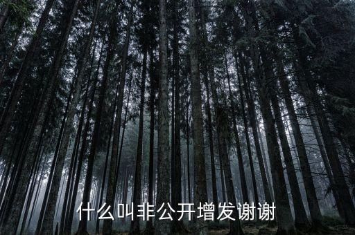 股票非公開(kāi)增發(fā)是什么意思，st股非公開(kāi)增發(fā)啥意思
