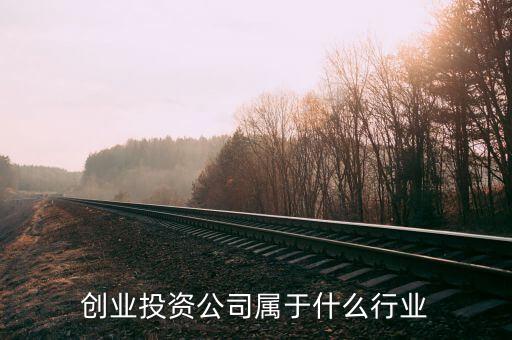 創(chuàng)業(yè)投資公司屬于什么行業(yè)，投資開發(fā)屬于什么行業(yè)
