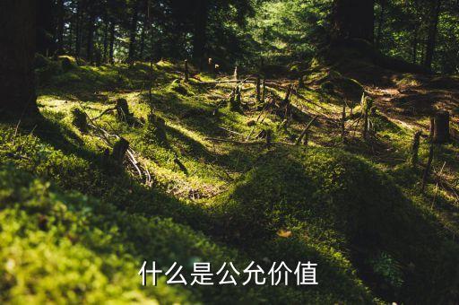 什么是資產(chǎn)組公允價(jià)值，什么是公允價(jià)值