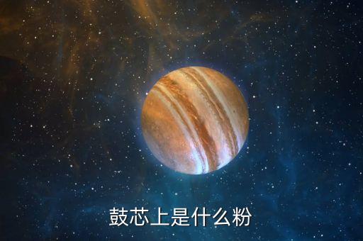 金瑞冶鼓芯上灰色的那個環(huán)是什么作用，硒鼓鼓芯上的彈簧有什么作用