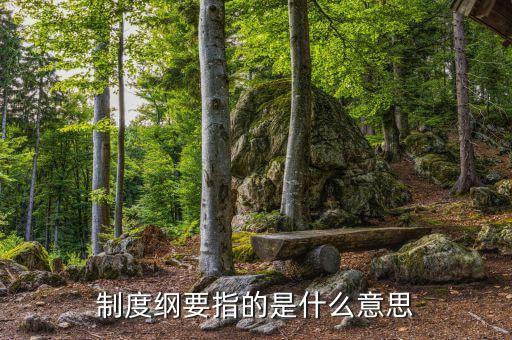 什么是公司綱要，制度綱要指的是什么意思