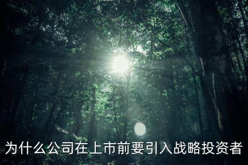 上市為什么要引入風(fēng)投，為什么公司在上市前要引入戰(zhàn)略投資者