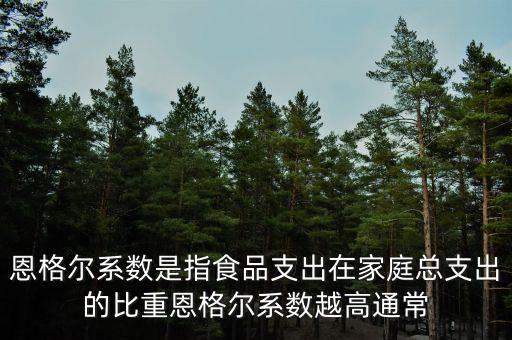 什么是恩格爾系數法，什么是恩戈爾系數