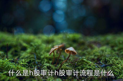 H股審計是什么意思，香港上市公司的審計與內(nèi)地審計有什么區(qū)別