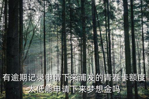 為什么青春卡夢(mèng)想金要等一個(gè)月，浦發(fā)信用卡青春卡的夢(mèng)想金是開卡就可以申請(qǐng)的還是等一個(gè)月