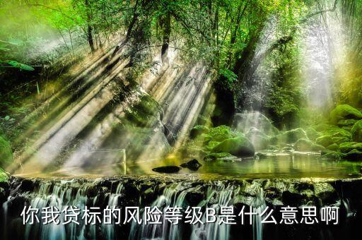 你我貸標的風(fēng)險等級B是什么意思啊