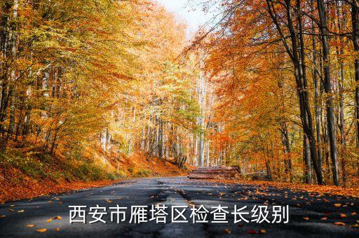 西安市正局級(jí)是什么級(jí)別，碑林分局局長(zhǎng)級(jí)別是什么級(jí)別