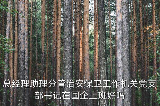 國(guó)企書(shū)記干什么的，總經(jīng)理助理分管治安保衛(wèi)工作機(jī)關(guān)黨支部書(shū)記在國(guó)企上班好嗎