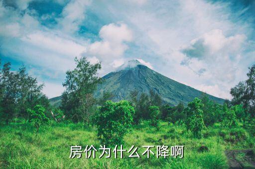 中國房價為什么不會跌，為什么很多專家斷定房價不會大跌