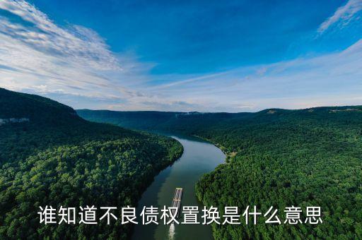 什么是不良資產(chǎn)置換，誰知道不良債權(quán)置換是什么意思