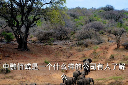 中融信誠是做什么的，中融佰誠是一個(gè)什么樣的公司有人了解么