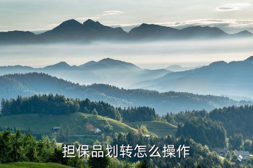 擔保品轉(zhuǎn)入是什么，融資融卷中的擔保品劃轉(zhuǎn)是什么意思
