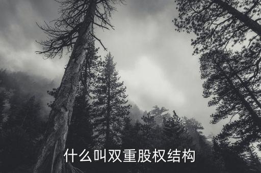 什么是雙層董事會(huì)，家長(zhǎng)不提供學(xué)習(xí)費(fèi)用能否貸款