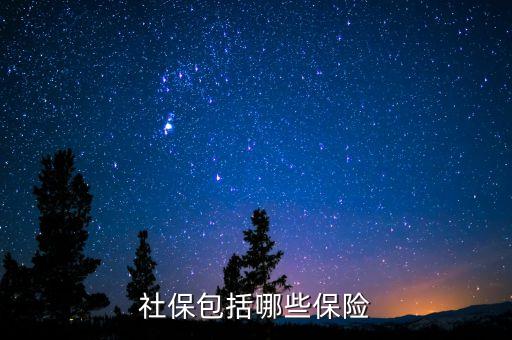 社保保險(xiǎn)保些什么，社會(huì)保險(xiǎn)包括哪些險(xiǎn)