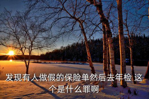 什么是做假保單，發(fā)現(xiàn)有人做假的保險(xiǎn)單然后去年檢 這個(gè)是什么罪啊