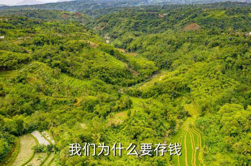 存錢有什么理由，我們?yōu)槭裁匆驽X