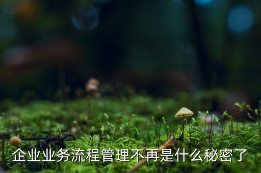 流程管理的亂象是什么，企業(yè)業(yè)務(wù)流程管理不再是什么秘密了
