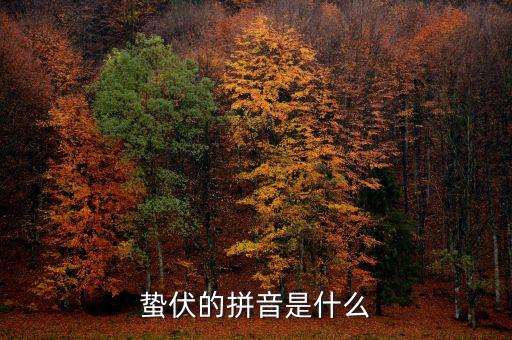 人的蟄伏期是什么，寂寂人定初中的人定是什么時候用天干地支中的回答相當