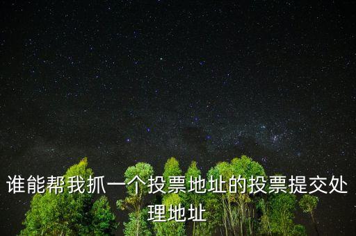 投票提交處理地址是什么，提交投票的問題怎么處理