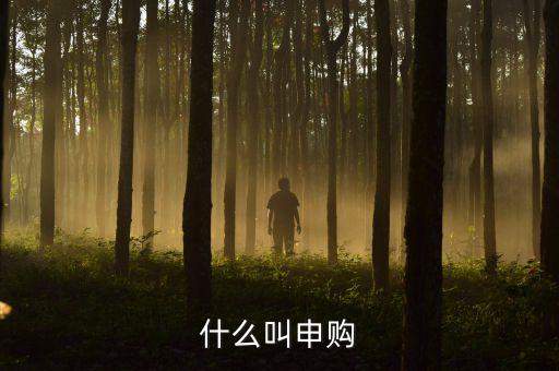 打新申購什么意思，什么叫申購