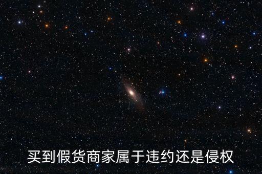 假進口商家承擔什么責任，商家銷售假冒商品市場管理方要承擔多大的管理責任所在經(jīng)營地的